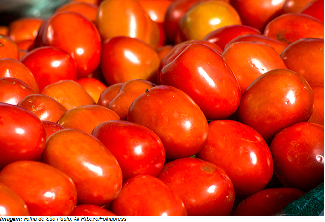 (Ainda sobre…) Autonomia, Melhoria Contínua e Afins