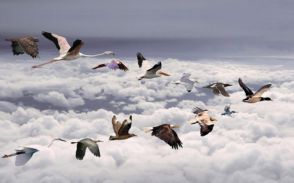 A liderança, a formação de times e a competitividade organizacional